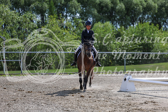 2025 - Dressage Festival - Saturday July 5th - 15421