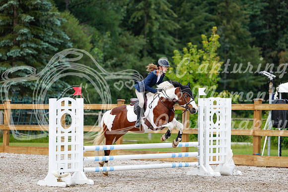 2025 - Haylee - Picco Horse Show - Sunday July 27th 01683