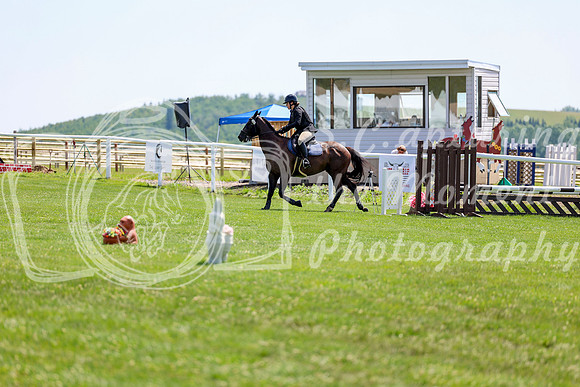 2025 - Shea - Teesdale - Thursday July 24th - 00902