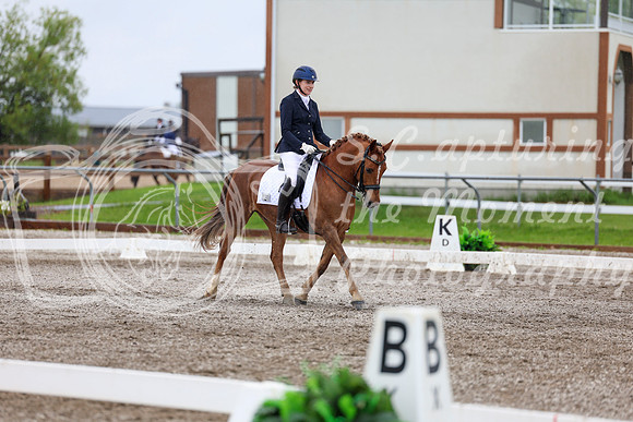 2025 - Dressage Festival - Sunday July 6th - 07622