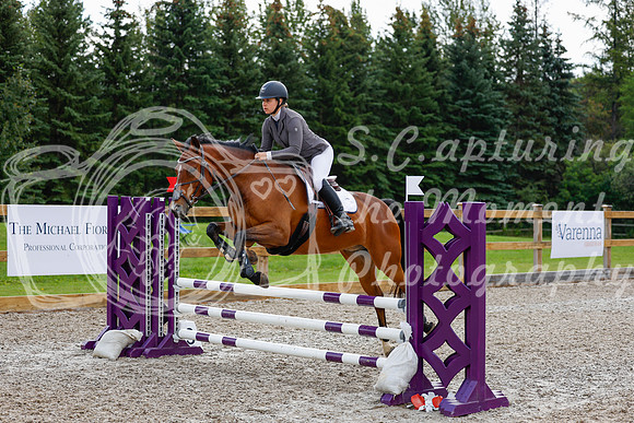 2025 - Haylee - Picco Horse Show - Sunday July 27th 02573