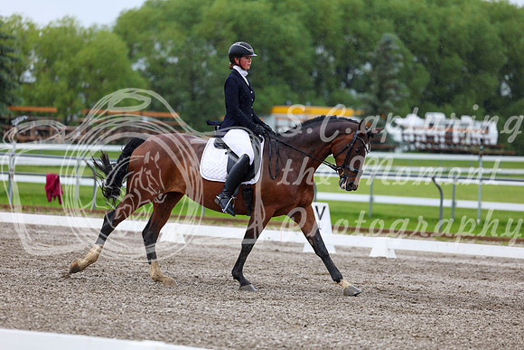 2025 - Dressage Festival - Sunday July 6th - 04429