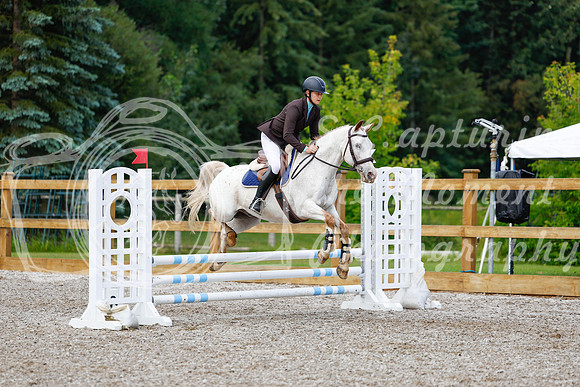 2025 - Haylee - Picco Horse Show - Sunday July 27th 01980