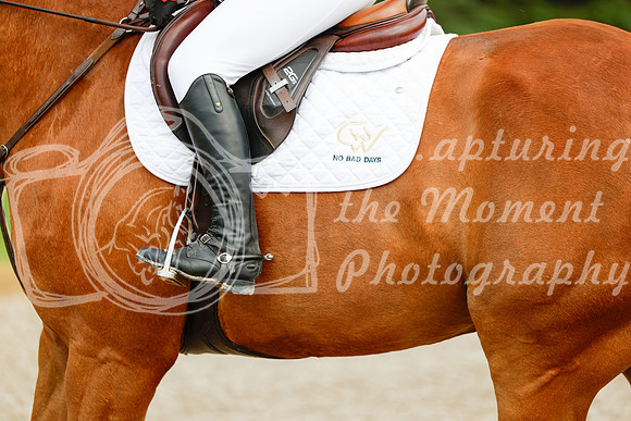 2025 - Haylee - Picco Horse Show - Saturday July 26th 09194