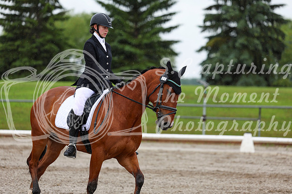 2025 - Dressage Festival - Sunday July 6th - 07317