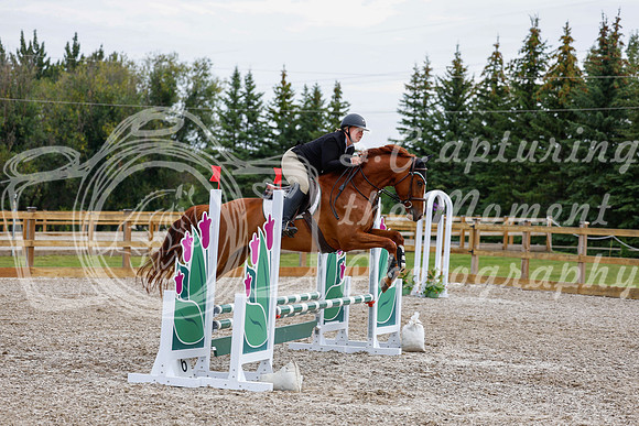 2025 - Haylee - Picco Horse Show - Saturday July 26th 02653