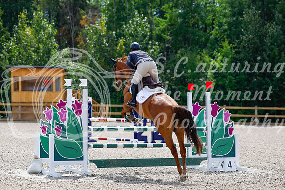 2025 - Haylee - Picco Horse Show - Sunday July 27th 04303