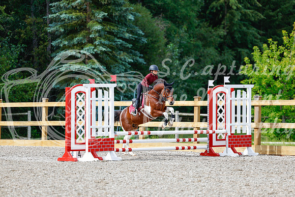 2025 - Haylee - Picco Horse Show - Friay July 25th 00864
