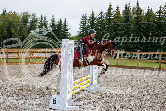 2025 - Haylee - Picco Horse Show - Friay July 25th 00586