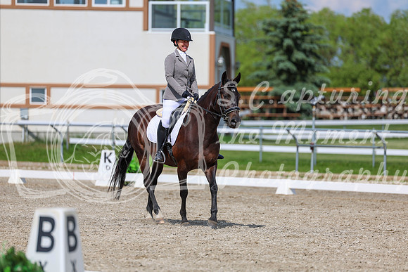 2025 - Dressage Festival - Saturday July 5th - 14604