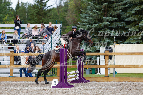2025 - Haylee - Picco Horse Show - Friay July 25th 00434