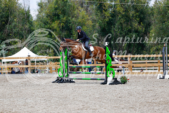 2025 - Haylee - Picco Horse Show - Saturday July 26th 06036