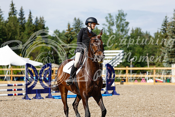 2025 - Haylee - Picco Horse Show - Thursday July 24th 01097