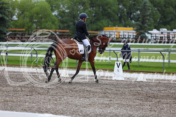 2025 - Dressage Festival - Sunday July 6th - 06694