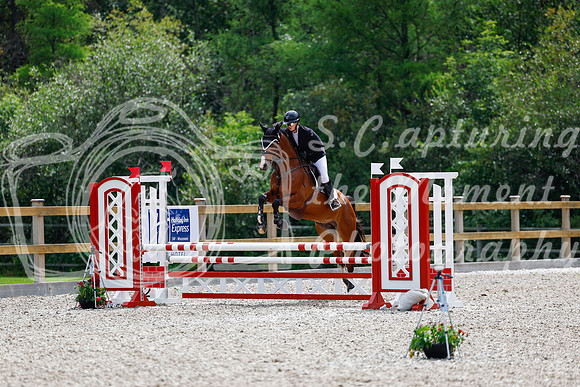 2025 - Haylee - Picco Horse Show - Sunday July 27th 03942