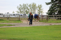 2025 - Shea - Bow Valley II - Friday May 16th - 00065