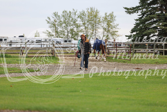 2025 - Shea - Bow Valley II - Friday May 16th - 00065