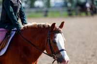 2025 - Dressage Festival - Saturday July 5th - 00016