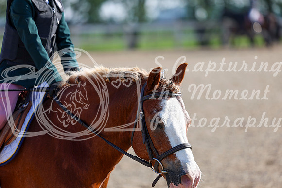 2025 - Dressage Festival - Saturday July 5th - 00016