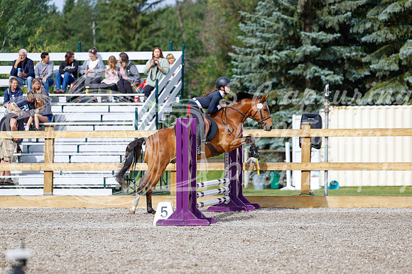 2025 - Haylee - Picco Horse Show - Friay July 25th 00662