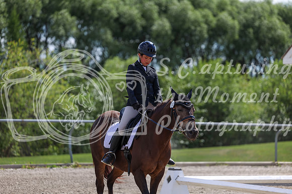 2025 - Dressage Festival - Saturday July 5th - 15426