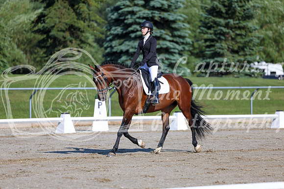 2025 - Dressage Festival - Saturday July 5th - 01262