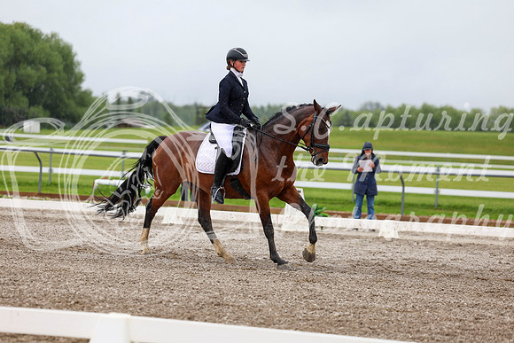 2025 - Dressage Festival - Sunday July 6th - 04431