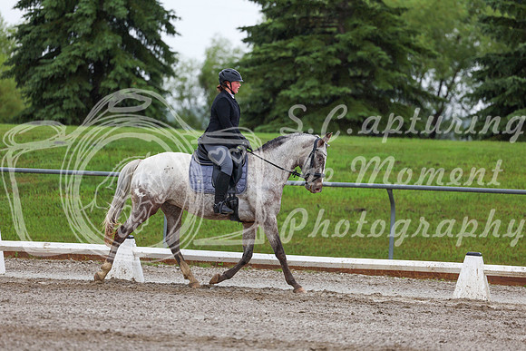 2025 - Dressage Festival - Sunday July 6th - 02306