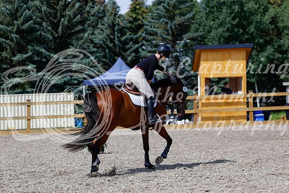2025 - Haylee - Picco Horse Show - Thursday July 24th 02263