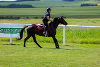 2025 - Shea - Teesdale - Friday July 25th - 05179