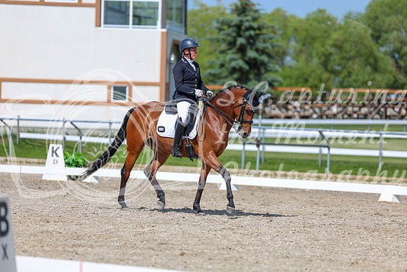 2025 - Dressage Festival - Saturday July 5th - 15508