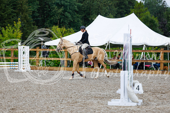 2025 - Haylee - Picco Horse Show - Sunday July 27th 00278