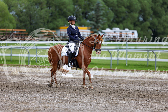 2025 - Dressage Festival - Sunday July 6th - 12204