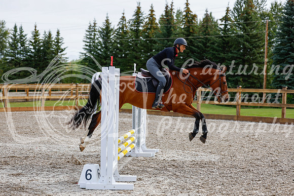 2025 - Haylee - Picco Horse Show - Friay July 25th 00628