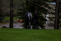 2025 - Shea - Bow Valley II - Thursday May 15th - 00007