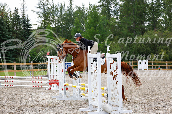 2025 - Haylee - Picco Horse Show - Saturday July 26th 02664