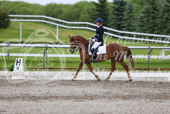 2025 - Dressage Festival - Sunday July 6th - 07637