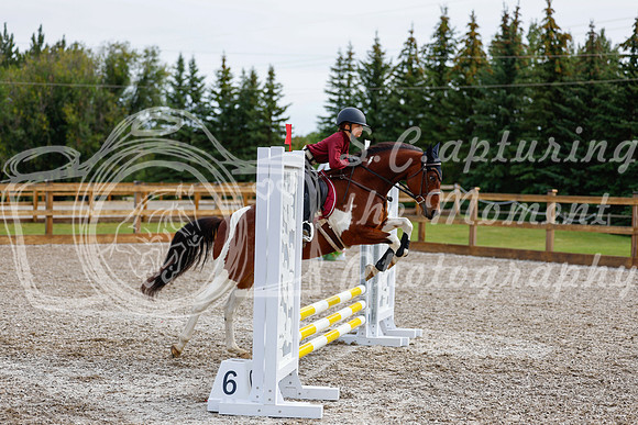 2025 - Haylee - Picco Horse Show - Friay July 25th 00585