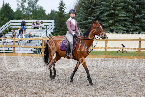 2025 - Haylee - Picco Horse Show - Saturday July 26th 00937