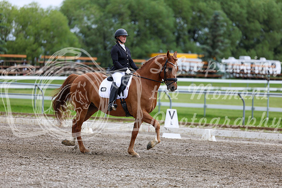 2025 - Dressage Festival - Sunday July 6th - 11083