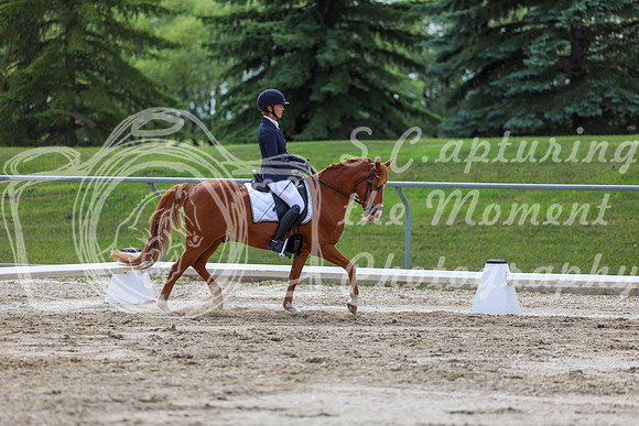 2025 - Dressage Festival - Saturday July 5th - 13796