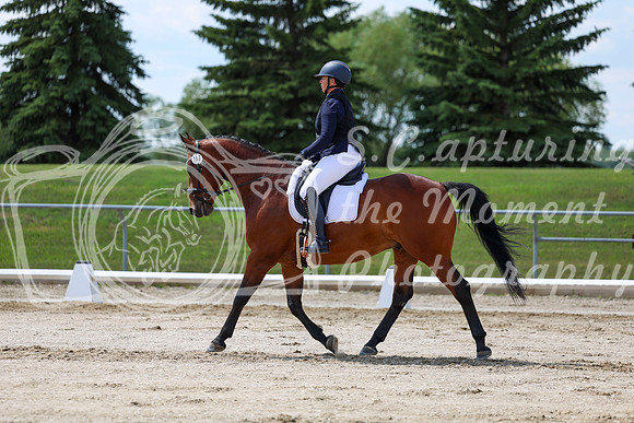 2025 - Dressage Festival - Saturday July 5th - 09733