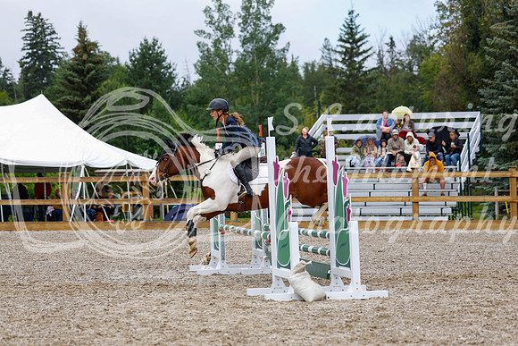 2025 - Haylee - Picco Horse Show - Sunday July 27th 01678