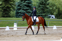 2025 - Dressage Festival - Saturday July 5th - 07299