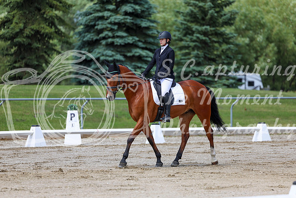 2025 - Dressage Festival - Saturday July 5th - 07299