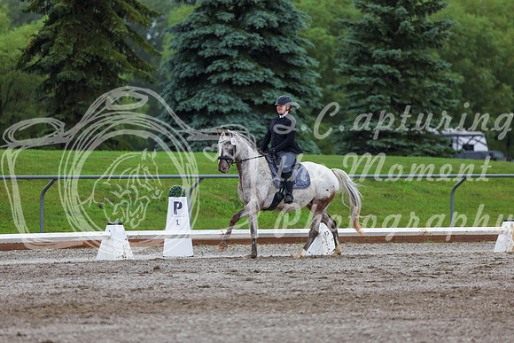 2025 - Dressage Festival - Sunday July 6th - 02161