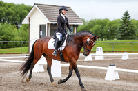 2025 - Dressage Festival - Sunday July 6th - 00825