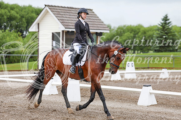 2025 - Dressage Festival - Sunday July 6th - 00825