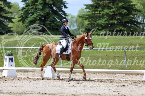 2025 - Dressage Festival - Saturday July 5th - 07867