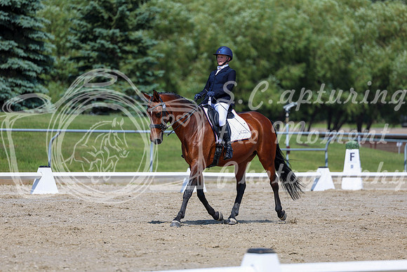 2025 - Dressage Festival - Saturday July 5th - 05643
